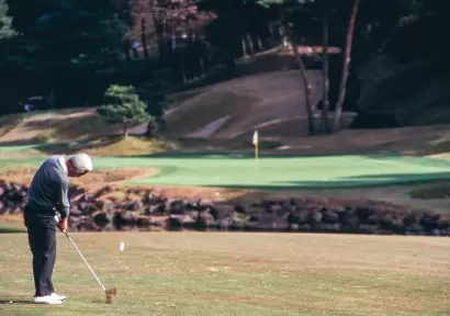 中部銀次郎スイング