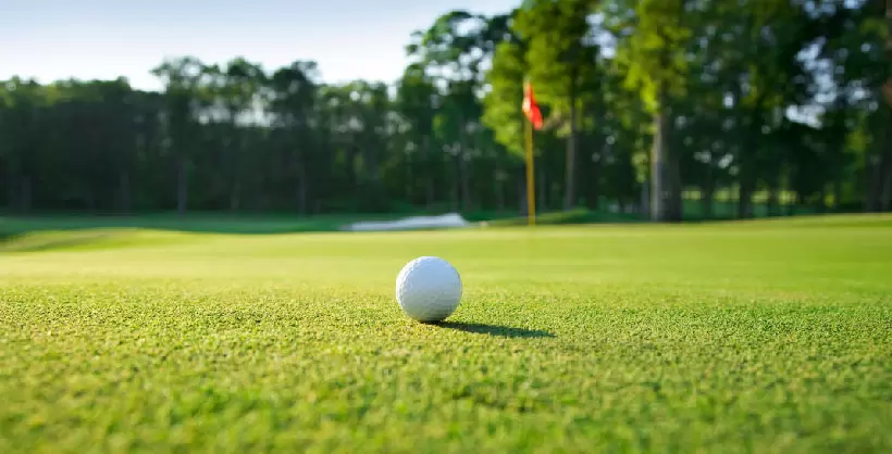 ゴルフ場,グリーン