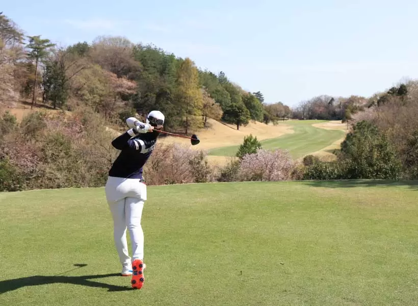 柏原明日架のドライバースイング（後方）