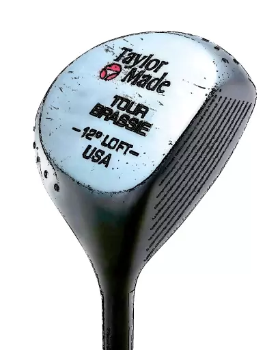 2番ウッドツアーブラッシー