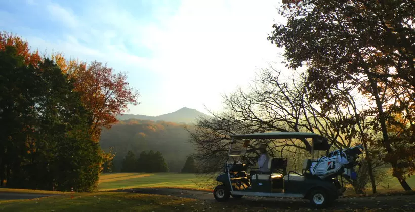 ゴルフ場,カート