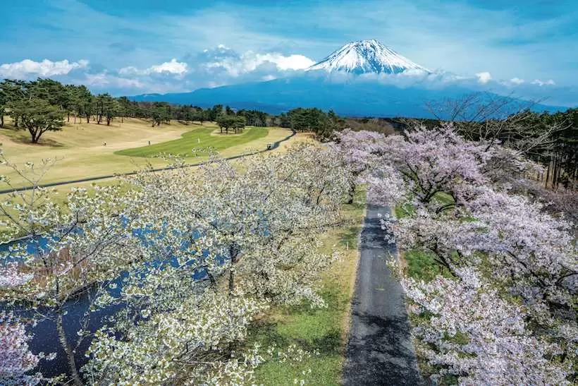富士山が綺麗に見えるコースを集めた「2023年富士山が映える! コース・カレンダー」
