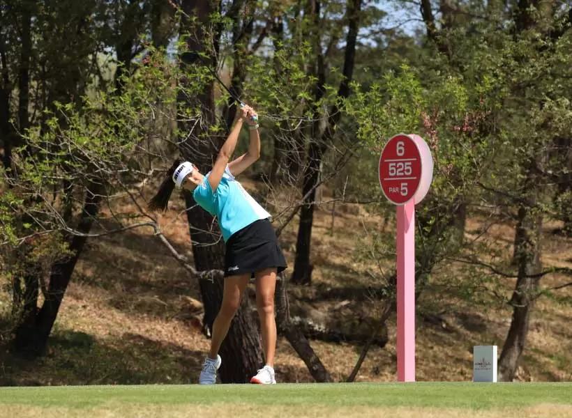 エイミー･コガのドライバースイング