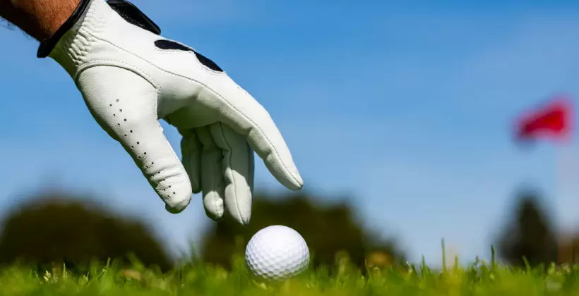 ゴルフ,グローブ