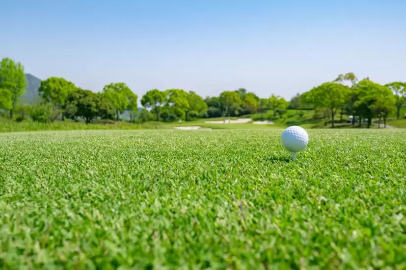 ゴルフ場