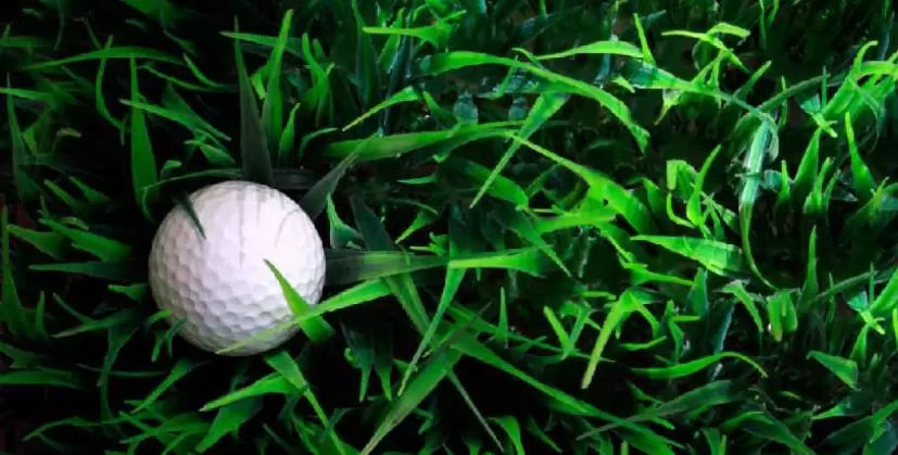 ゴルフボール