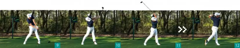 蟬川泰果スイング