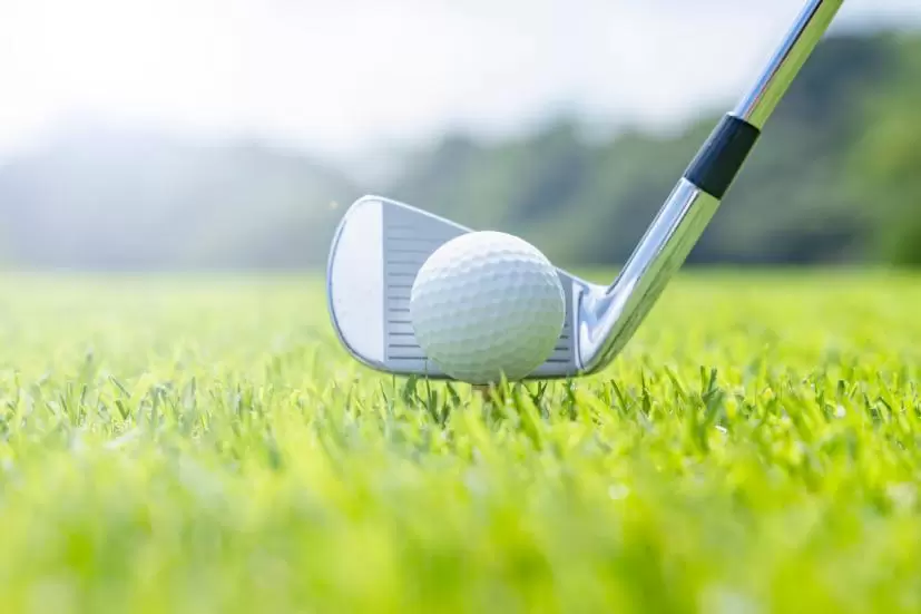 ゴルフ,ティー,高さ