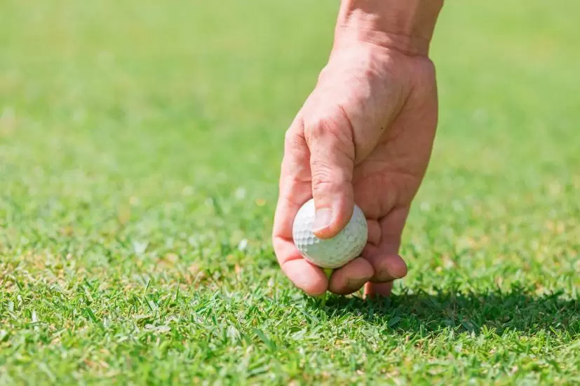 ゴルフ,ティー,高さ