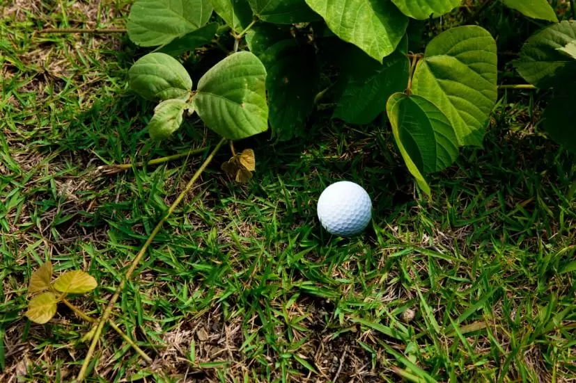 ペナルティエリアイメージ