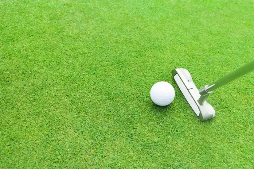 パターとゴルフボール