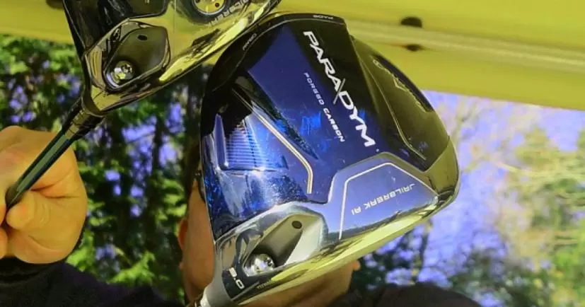 PARADYM ドライバー