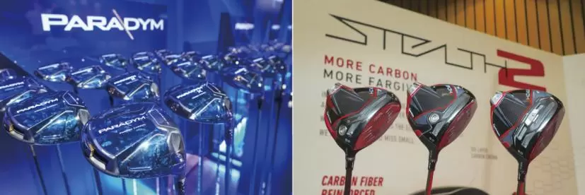 パラダイム,ステルス2