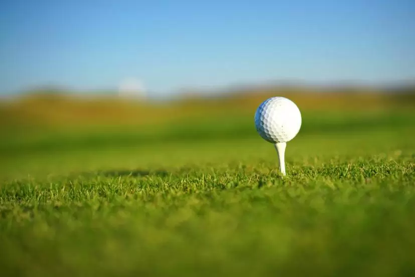 ゴルフボール、ティー