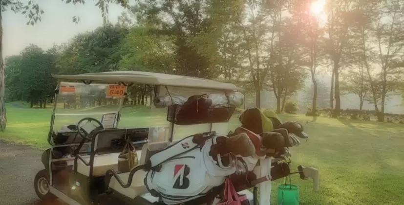 ゴルフ場,ゴルフカート