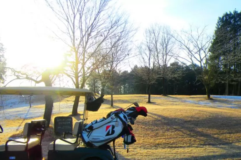 ゴルフ場,ゴルフカート