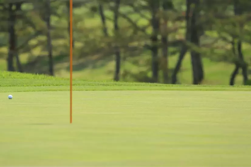 ゴルフ場,グリーン