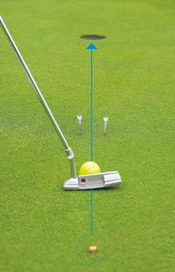 一直線のライン