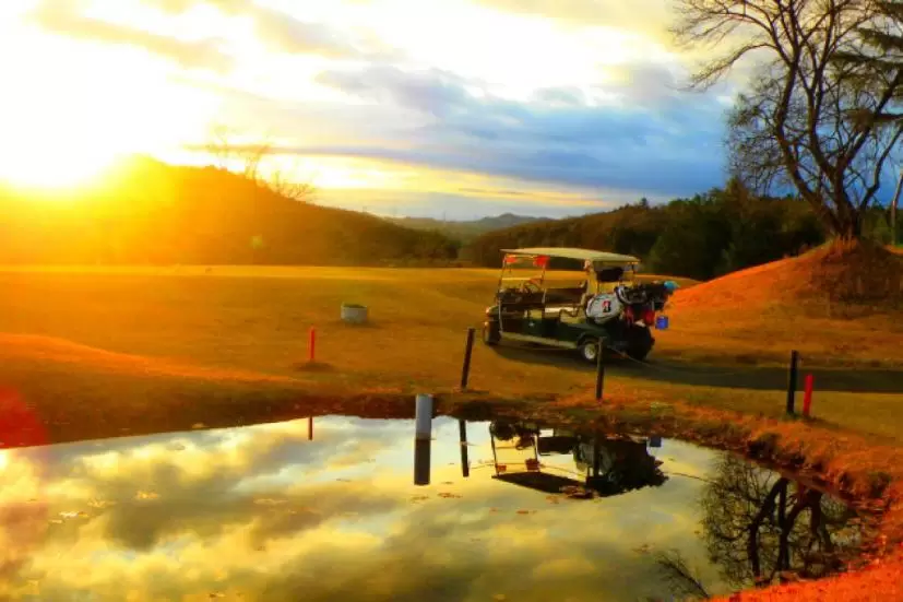 ゴルフ場,乗用カート