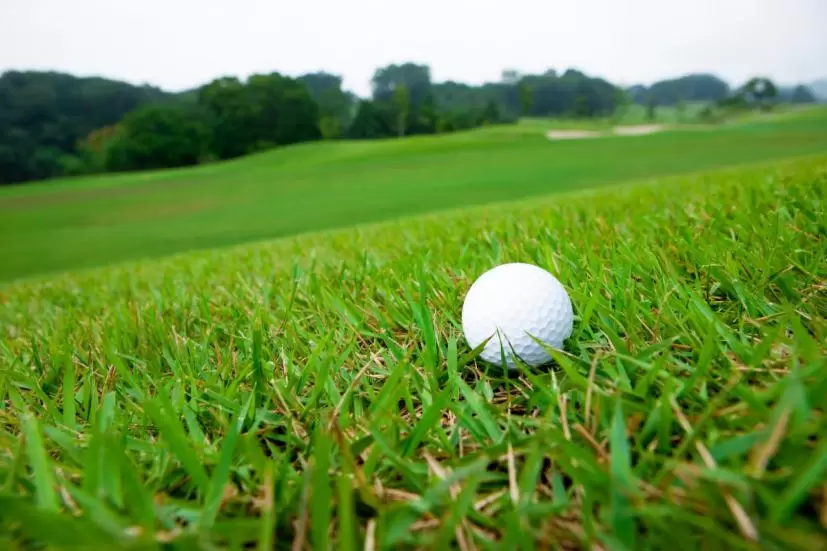 ゴルフボール