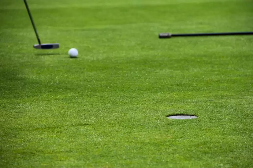 ゴルフ場,グリーン