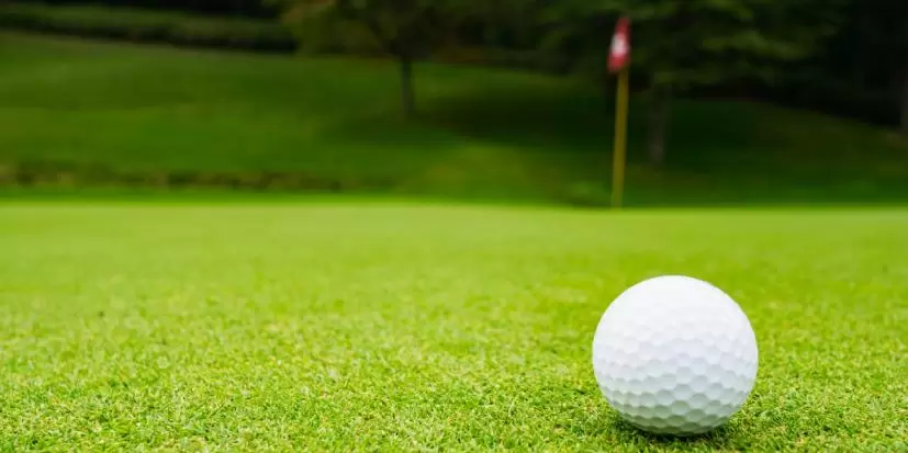ゴルフボール