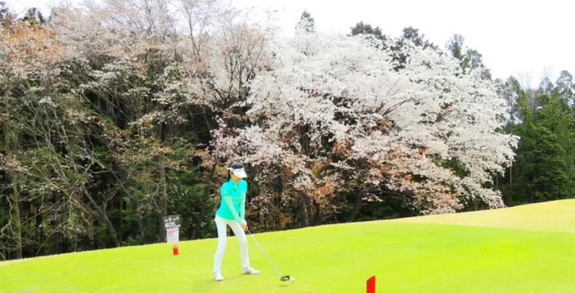 ゴルフ場,桜
