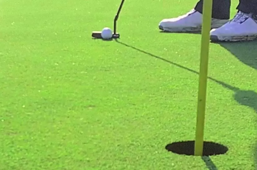 PLD ミルド ANSWER D パター