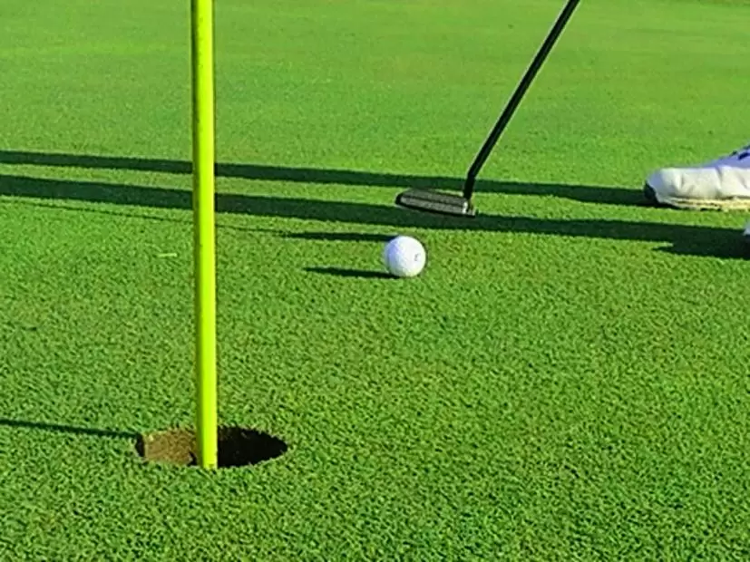 PLD ミルド OSLO 4 パター