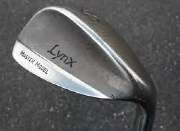 リンクス・マスターモデル