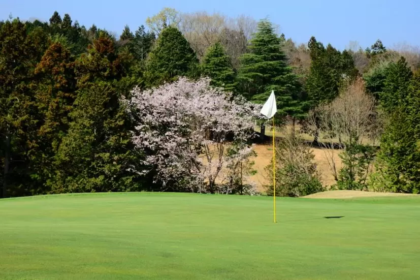 ゴルフ場,グリーン