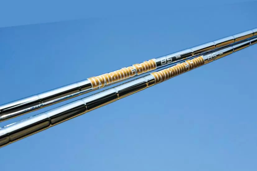 ダイナミックゴールド85