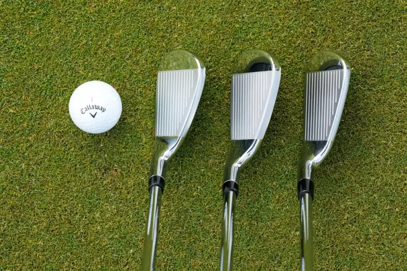 パラダイム、パラダイムＸ、パラダイムマックスファスト