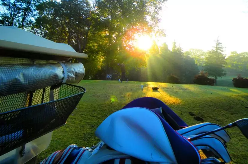 ゴルフカート,キャディバッグ