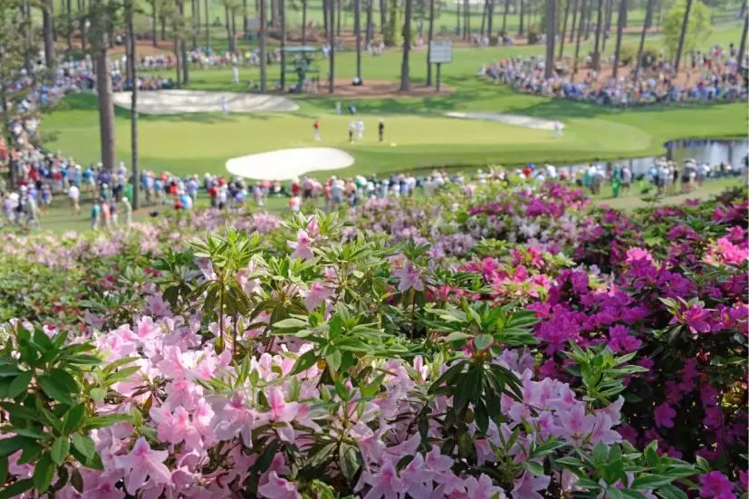 ゴルフ,仕事,ツアー