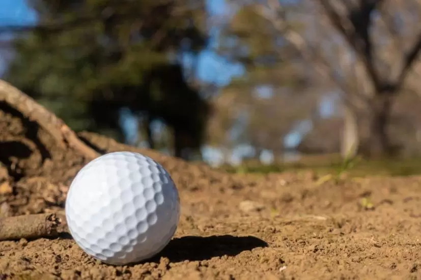 ゴルフボール