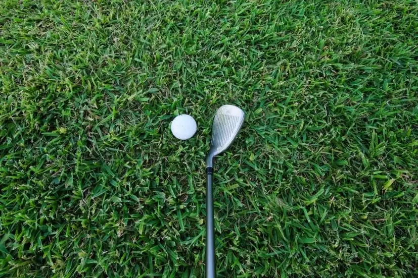 ゴルフクラブ,ボール