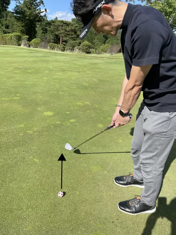 テークバックを飛球線と平行に真っ直ぐ低い位置で引く