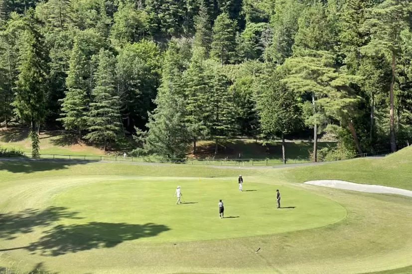 グリーン,ゴルフ場