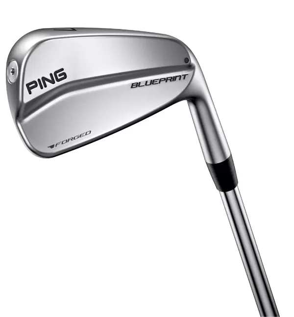 PING ブループリント