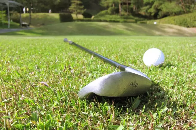 アイアン,ゴルフボール