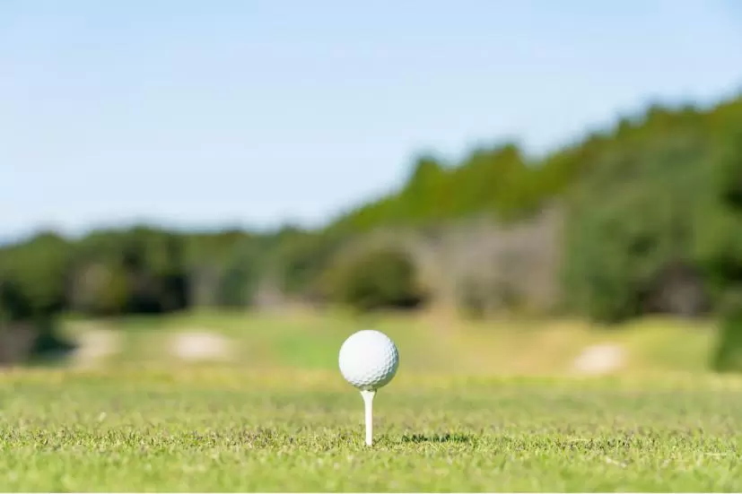 ゴルフボール,ティー