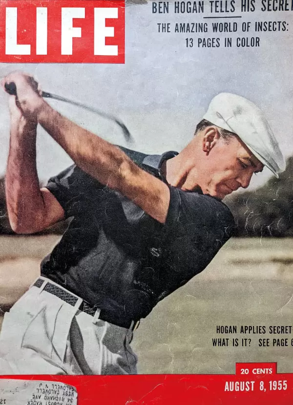 佐渡充高のプレミアム・ファイル