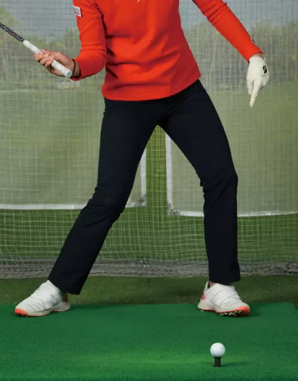 高島早百合,アドレス