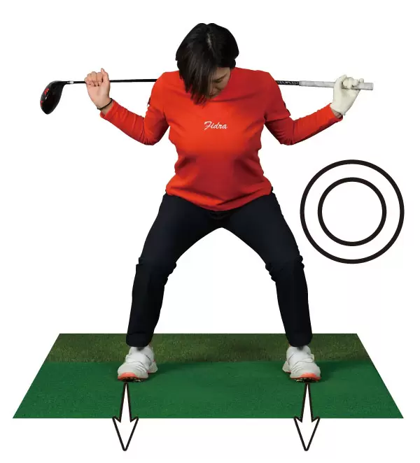 高島早百合,アドレス