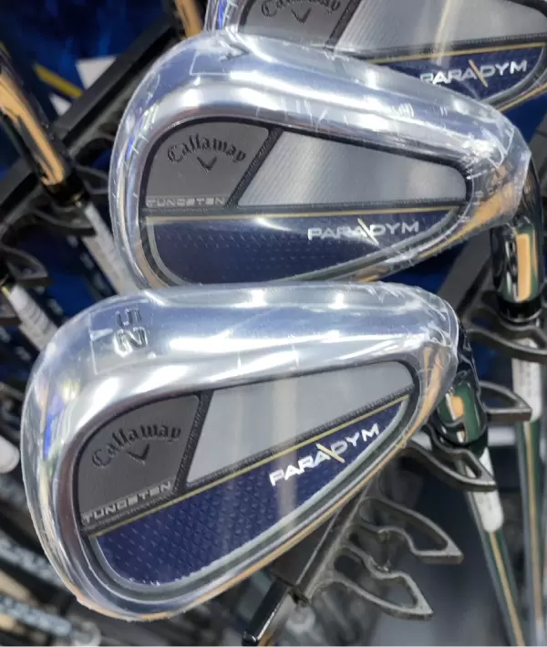 パラダイム アイアン