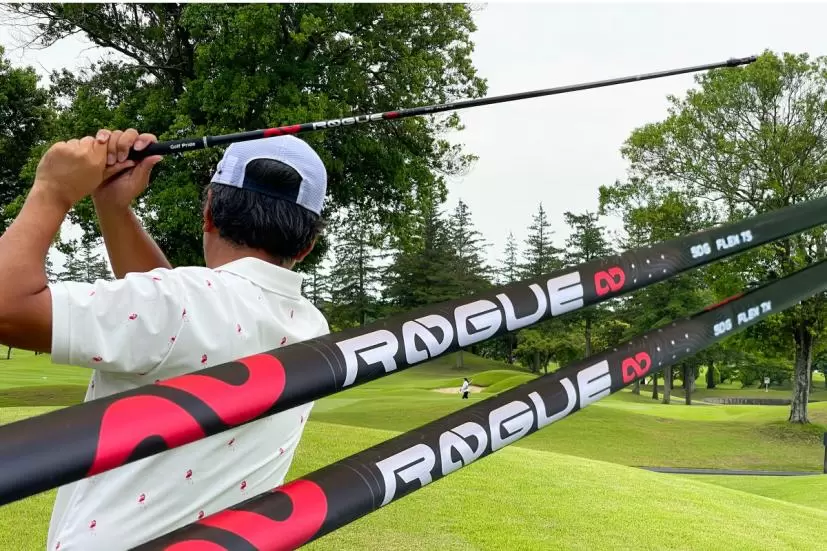 野村タケオ,ROGUE ∞