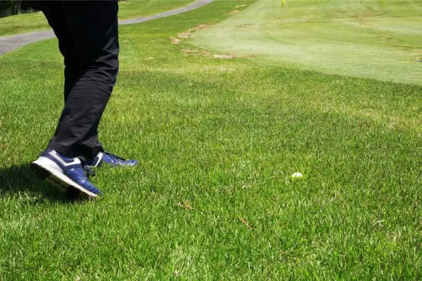 アプローチショット