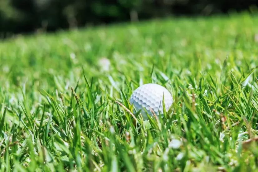ラフに落ちたゴルフボール