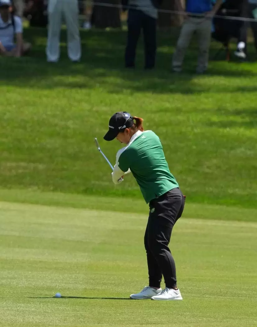 西郷真央のアイアンスイング